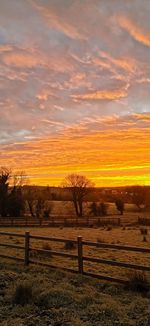 Scenic view of field against sky during sunset