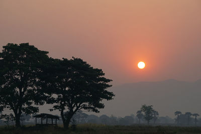 Silhouette trees on field against orange sky