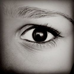 human eye