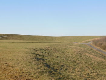 Scenic view of field against clear sky