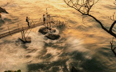 High angle view of bare trees at sunset