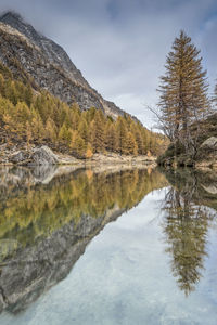 Scenic view of lake by trees against sky