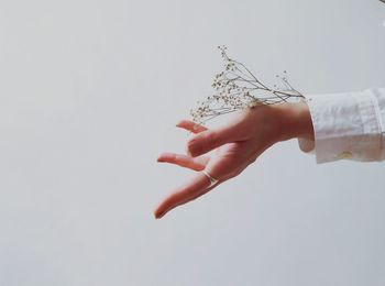 Close-up of hand holding hands over white background