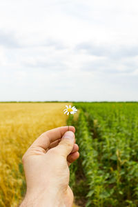 Cropped hand holding flower against landscape