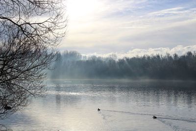 Scenic view of lake against sky during winter