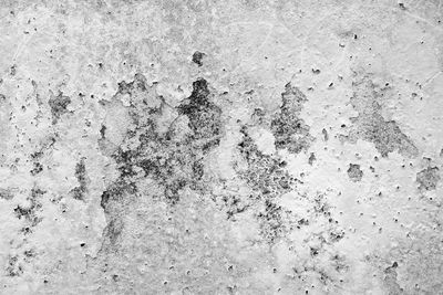 High angle view of snow on land