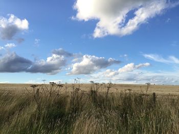 Scenic view of field against cloudy sky