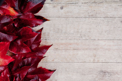 Directly above shot of pine cone on table