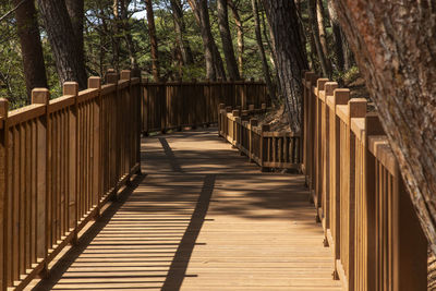 View of wooden footbridge in forest