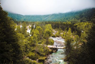 High angle view of river amidst trees against sky