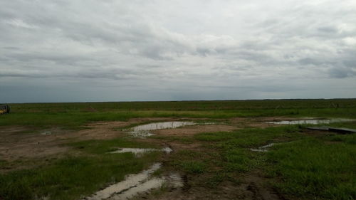 Scenic view of field against sky