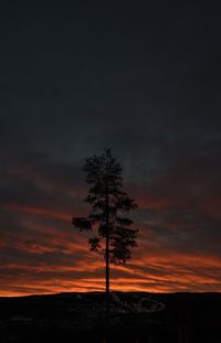 Silhouette tree on field against orange sky