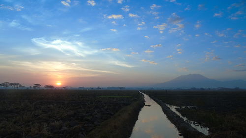 Scenic view of agricultural field against sky during sunset