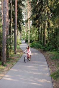 Rear view of man riding bicycle on road amidst trees in forest