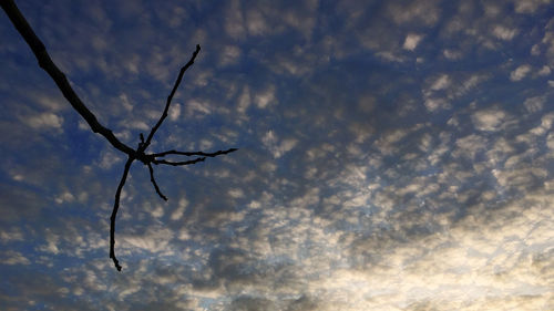 Low angle view of cloudy sky