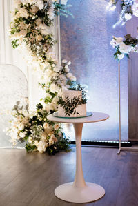 Close-up of potted plant on table at home