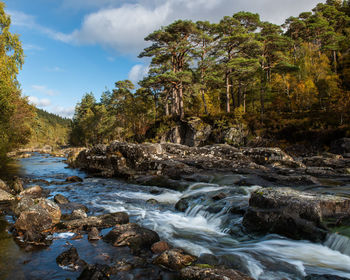 Stream flowing through rocks in forest