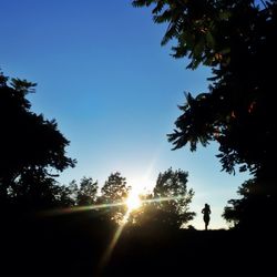 Silhouette of trees against sky at sunset
