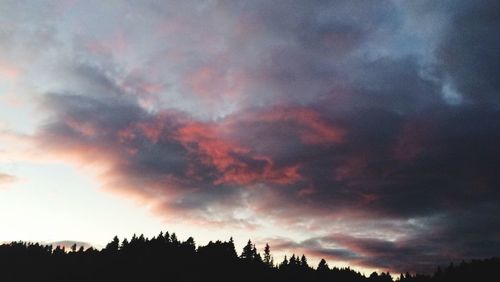 Silhouette of trees against cloudy sky