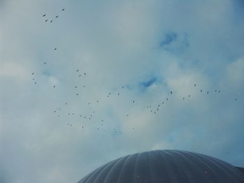 Low angle view of birds flying in sky