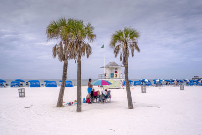 Palm trees on beach against sky