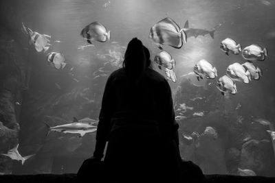 Rear view of silhouette woman standing by fish tank in aquarium