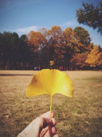 Cropped image of man standing on tree trunk