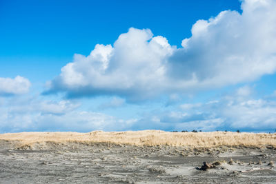 A view of sand, grass and clouds at long beach, washington.