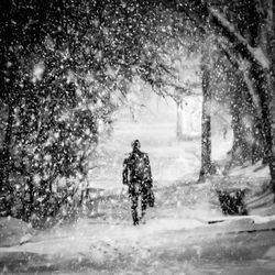 People walking on snow covered tree