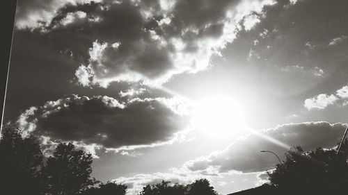 Low angle view of trees against sky
