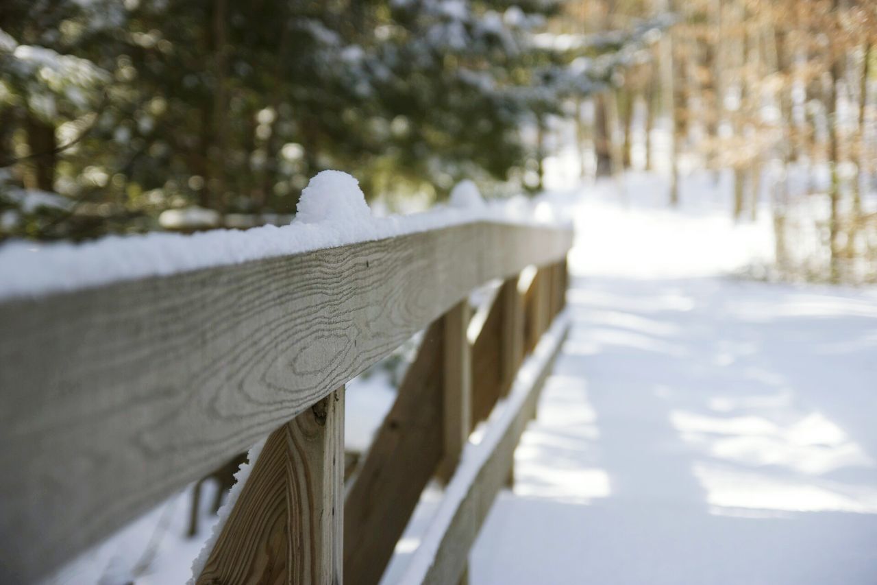 focus on foreground, wood - material, snow, winter, cold temperature, selective focus, season, the way forward, tree, close-up, wooden, day, railing, weather, built structure, outdoors, nature, diminishing perspective, surface level, wood