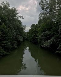 Scenic view of lake in forest against sky