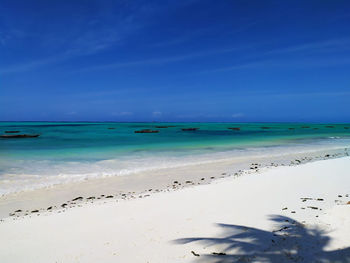 Scenic view of beach against blue sky