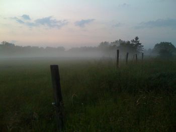 Scenic view of landscape against sky