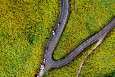 High angle view of agricultural field