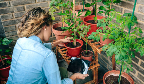 High angle view of man standing in greenhouse