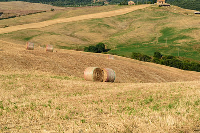 High angle view of hay bales on field