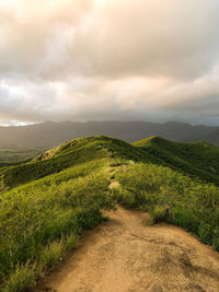 The hills of oahu at the pillbox trail during dawn.