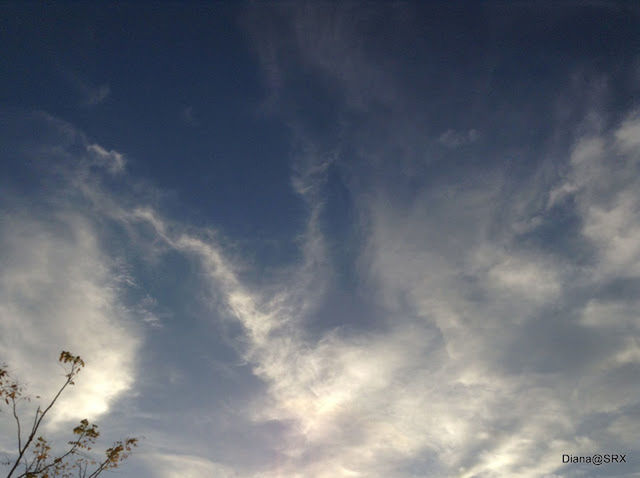 SCENIC VIEW OF CLOUDY SKY