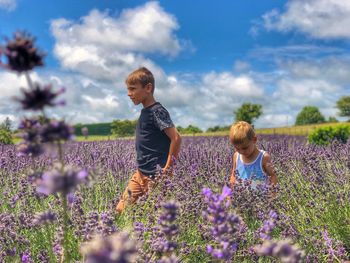 Full length of girl on purple flowers on field against sky