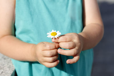 Midsection of a girl holding daisy flower