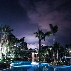 Palm trees by swimming pool against sky at night