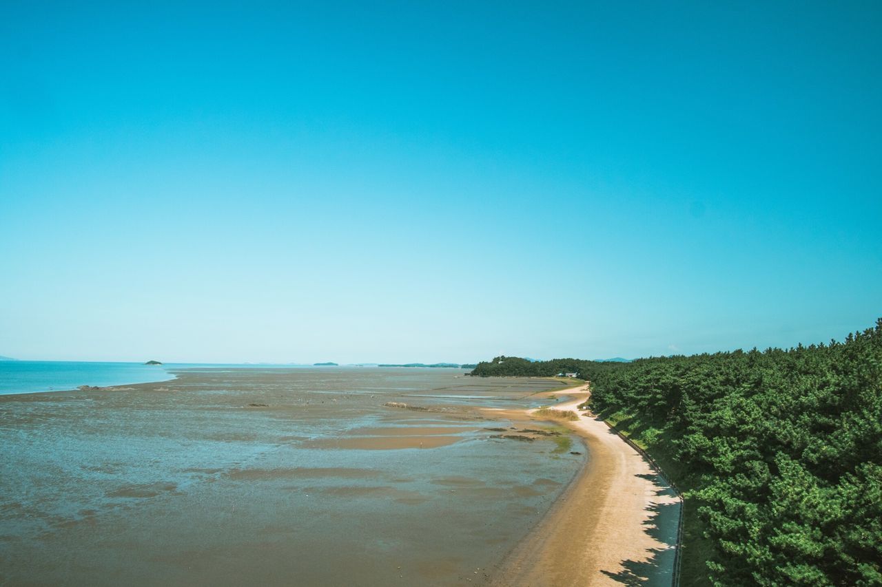 scenics, sea, beach, tranquil scene, beauty in nature, clear sky, nature, tranquility, copy space, blue, sand, water, landscape, no people, outdoors, travel destinations, day, tree, sky, horizon over water