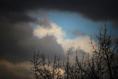 Low angle view of bare tree against sky