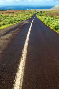 Empty road along trees