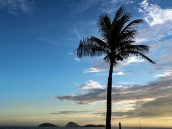 Low angle view of silhouette palm tree against sky during sunset