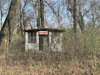 Information sign on bare tree in forest