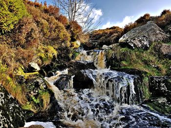 Scenic view of waterfall in forest