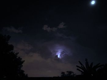 Low angle view of silhouette trees against sky at night