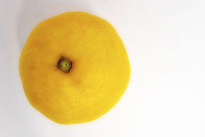 Directly above shot of lemon slice over white background